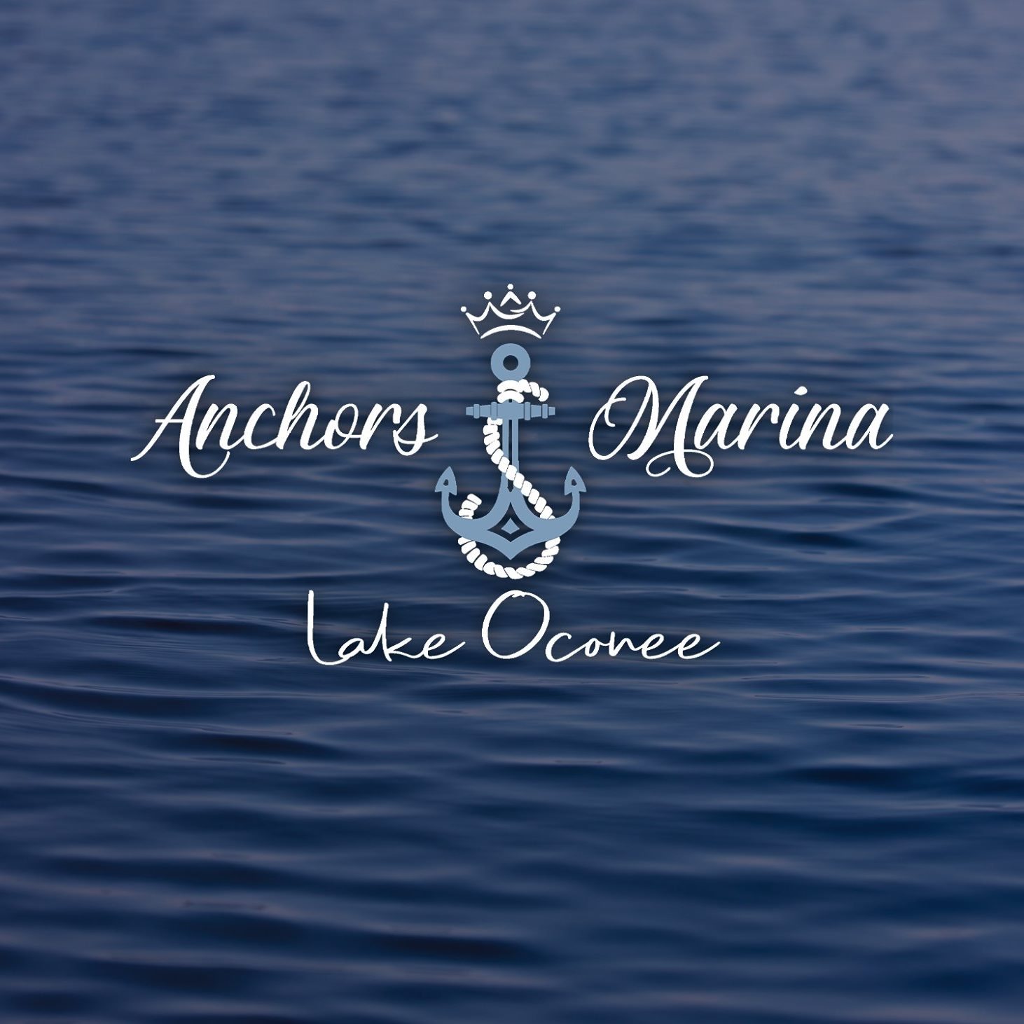 Photo for Anchors Marina